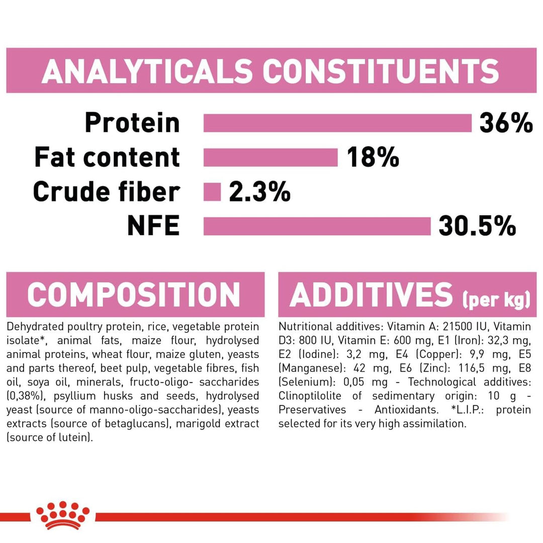 Royal Canin Kitten Second Age