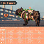 Load image into Gallery viewer, Service Dog Double Padding Harness (Color May Vary)
