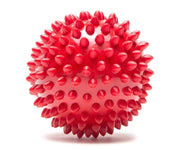 Solid Spike Ball Pet Article