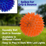 Load image into Gallery viewer, Spike Ball