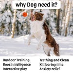 Load image into Gallery viewer, Spike Ball