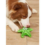 Load image into Gallery viewer, Sq. VT. 1042 Star Fish
