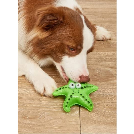 Sq. VT. 1042 Star Fish