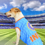 Load image into Gallery viewer, Indian Cricket Team Replica Dog Jersey | Breathable Summer Sando Vest