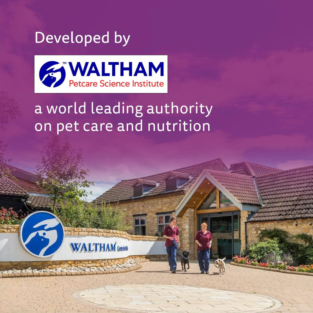 Whiskas Tasty Mix Tuna Kanikama Carrot In Gravy Wet Cat Food - 70g