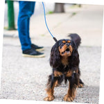 Load image into Gallery viewer, Tie Out Cables-15feet