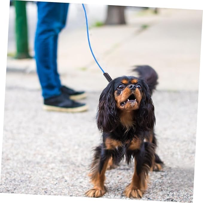 Tie Out Cables-15feet