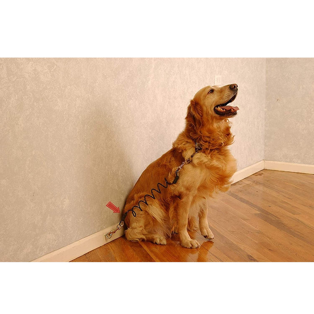 Tie Out Cables - 12feet