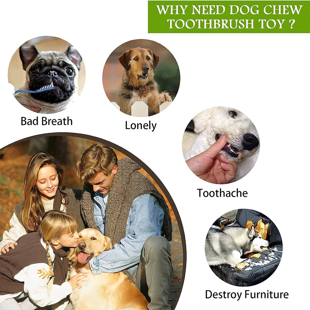 Sq. VT. 1061 Tooth Brush