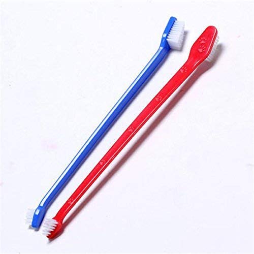 Tooth Brush Single Eco