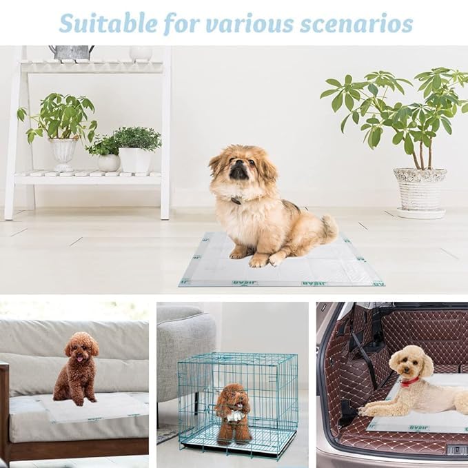 Toilet Training Pad for Pets 45 X 60cm 50 Sheets