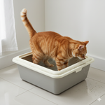 Load image into Gallery viewer, Cat Litter Tray -Small 46cm X 37cm X 14cm (Color May Vary)