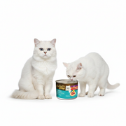 Bellotta Tuna in Gravy Wet Cat Food – 185g Premium Can