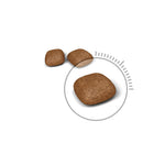 Load image into Gallery viewer, Royal Canin Urinary Cat Food