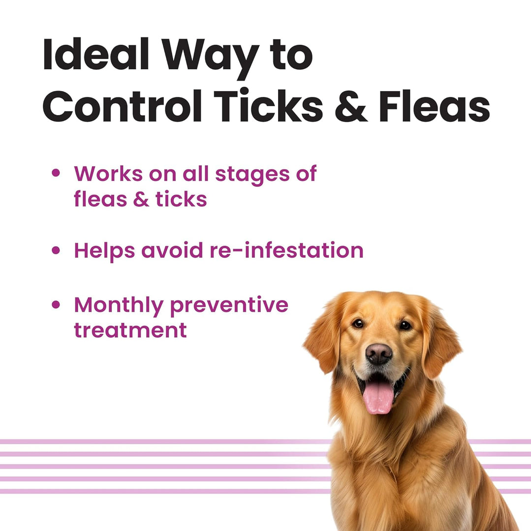 Vivaldis VI-FI FORTE Spot-On for Large Dogs (20-40kg)
