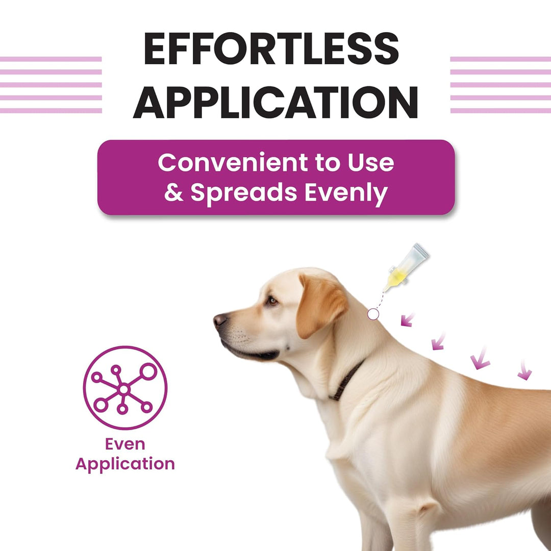 Vivaldis VI-FI FORTE Spot-On for Large Dogs (20-40kg)
