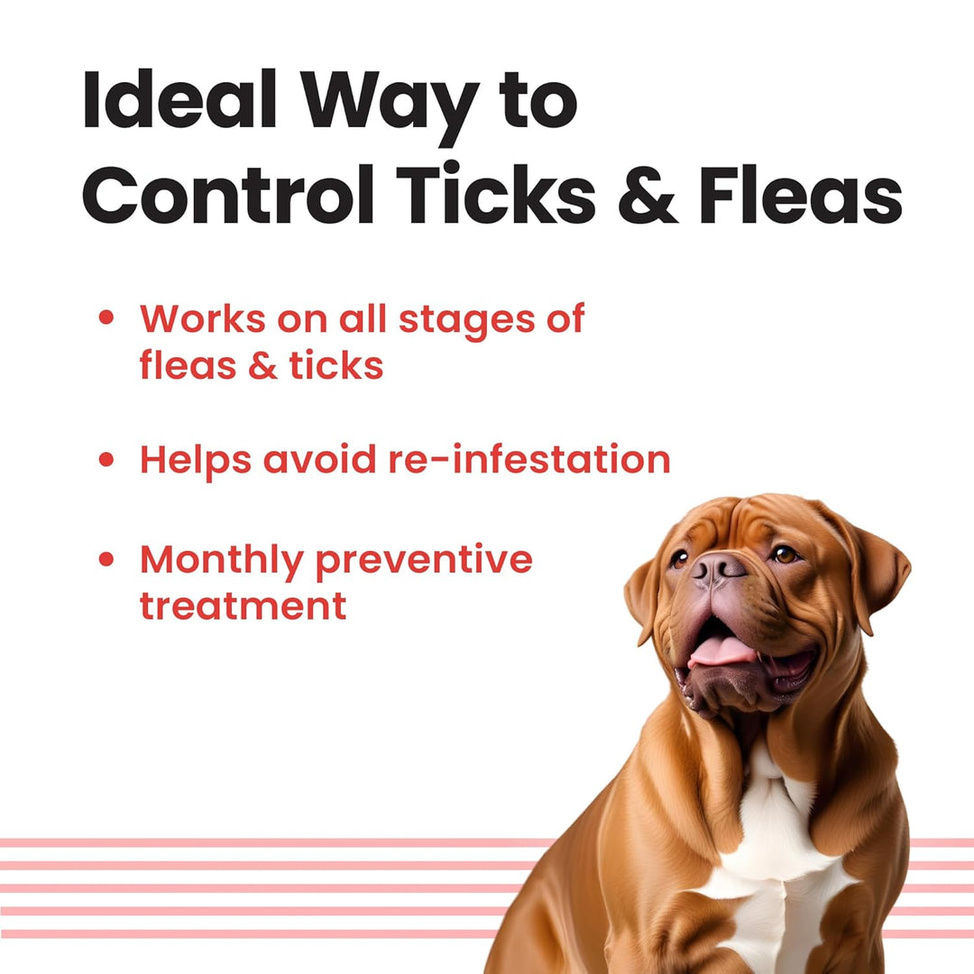 VI-FI FORTE Spot-On for Extra Large Dogs (40-60kg)