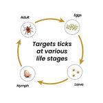 Load image into Gallery viewer, VIVALDIS VI-FI Forte Spray - 100ml