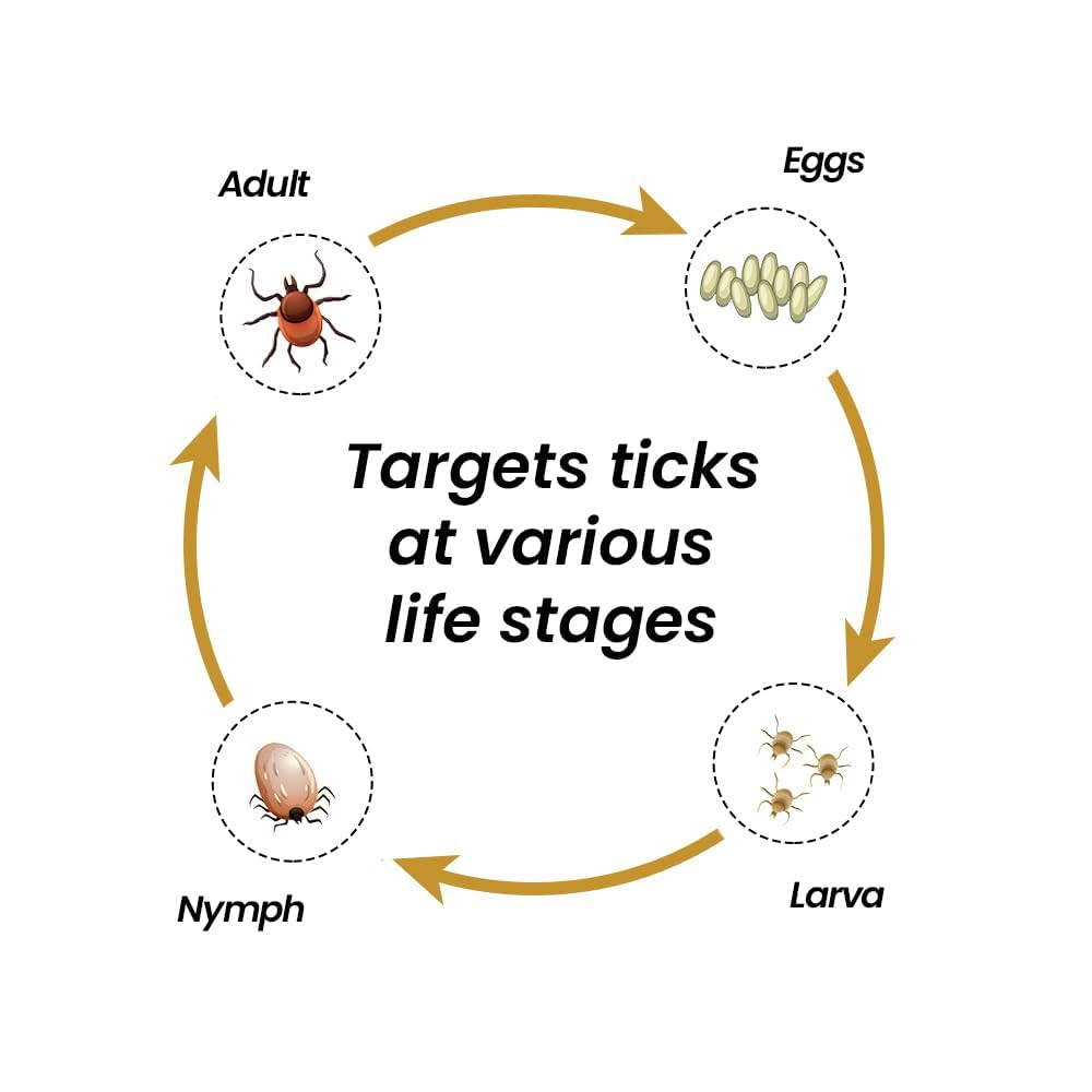 VIVALDIS VI-FI Forte Spray - 100ml