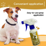 Load image into Gallery viewer, VIVALDIS VI-FI Forte Spray - 100ml