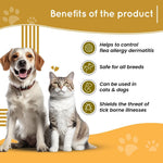 Load image into Gallery viewer, VIVALDIS VI-FI Forte Spray - 100ml