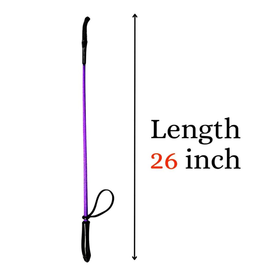 Dog Walking Stick Premium