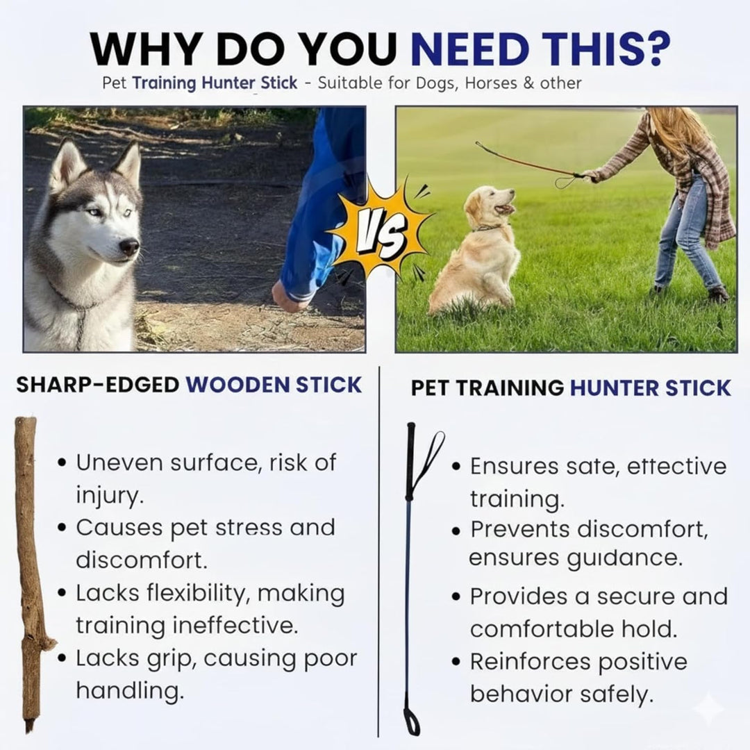 Dog Walking Stick Premium