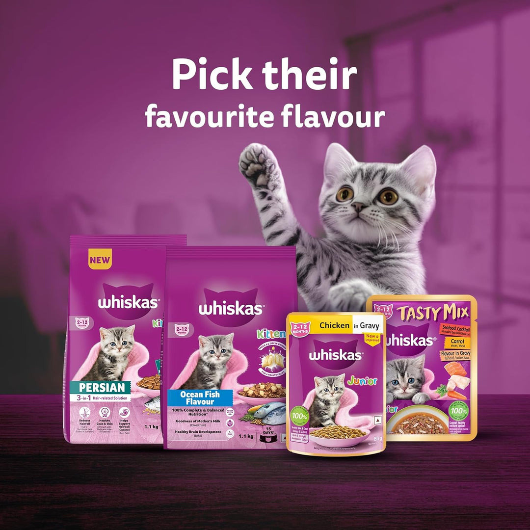 Whiskas Junior Mackerel Gravy 80gm