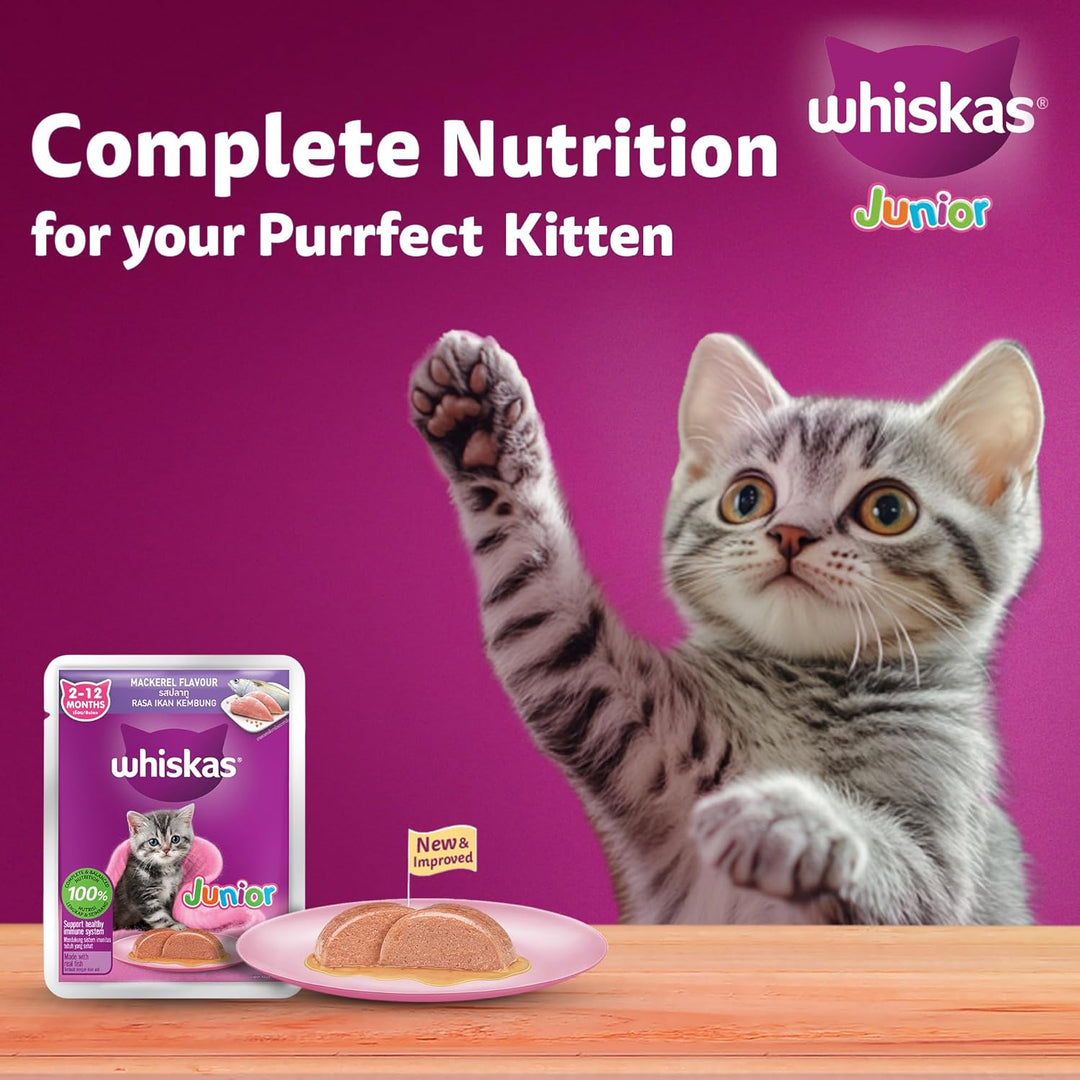 Whiskas Junior Mackerel Gravy 80gm
