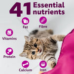 Load image into Gallery viewer, Whiskas Junior Mackerel Kitten Food