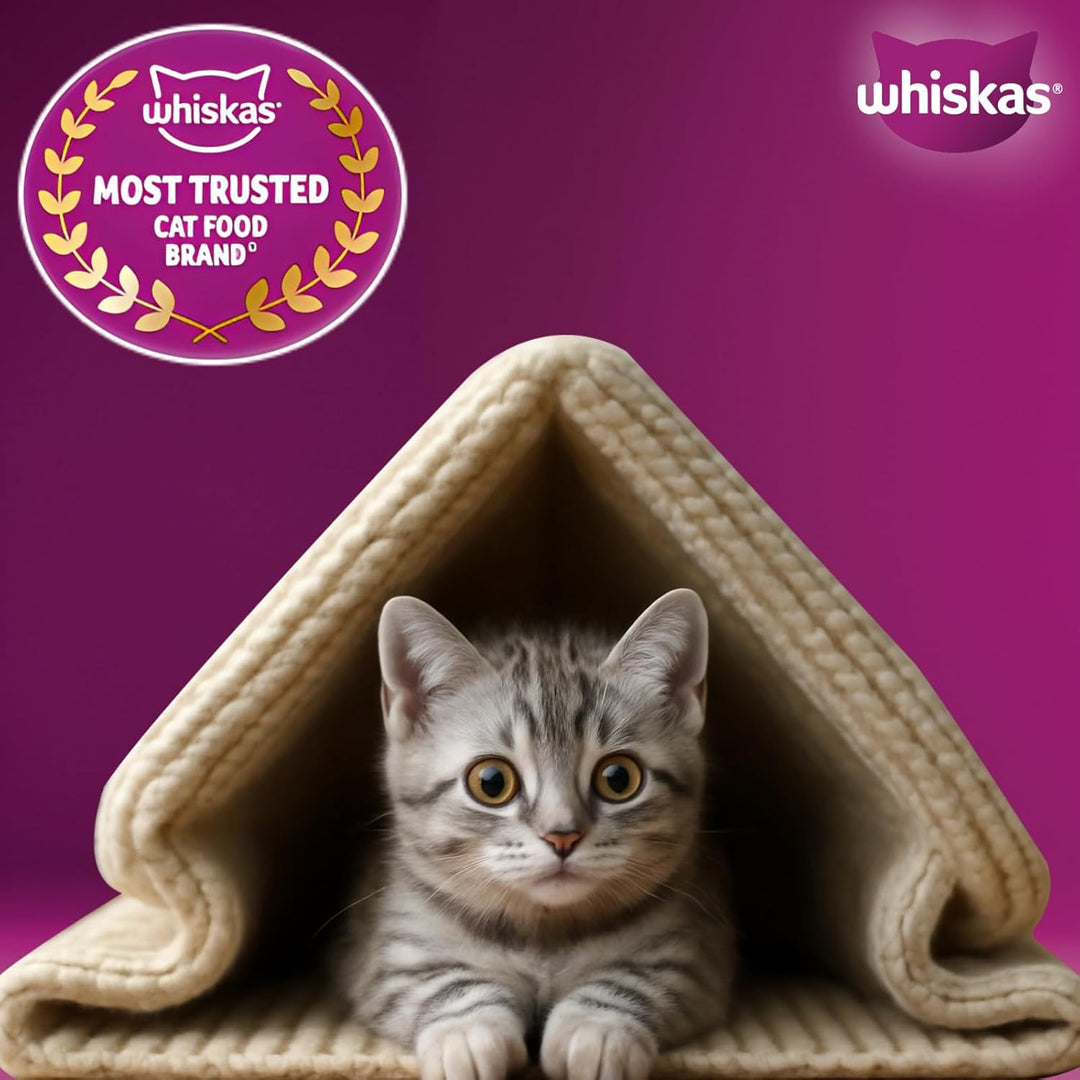 Whiskas Junior Mackerel Kitten Food