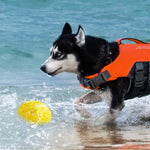 Load image into Gallery viewer, EE Toys Blow Molded UFO Squeaky Frisbee Dog Toy